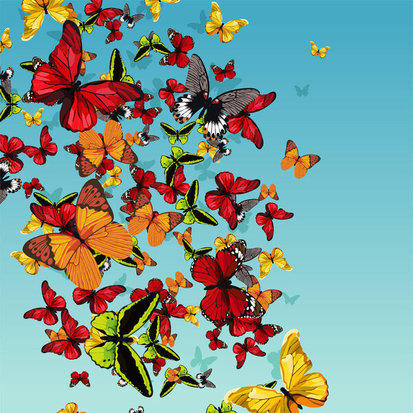 painted a large pile of colorful tropical butterflies