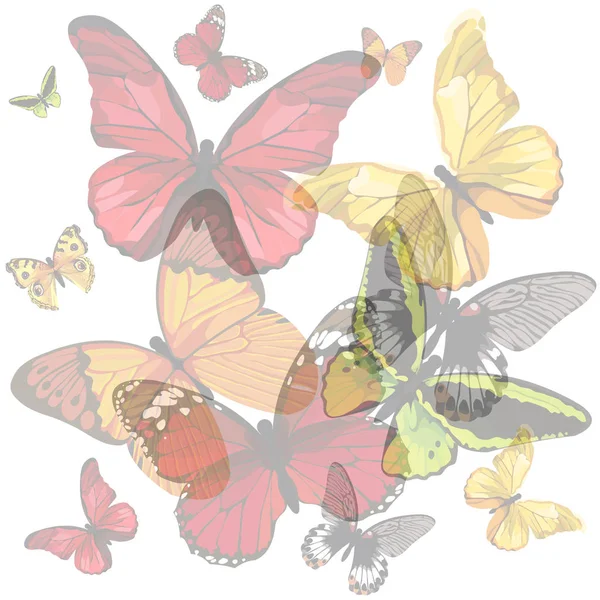 Decorative pattern of translucent multicolored butterflies — Stock Vector