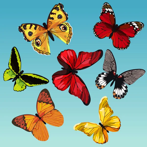 Set of drawn colored butterflies on a blue background — Stock Vector
