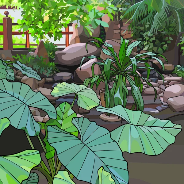Tropical Plants Background Stones Landscape Design Vector Image — Stockový vektor