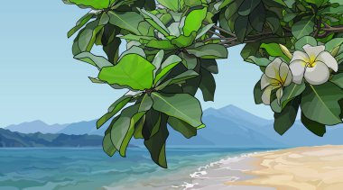 Deniz ve dağlara karşı Frangipani çiçekleri olan ağaç dalı