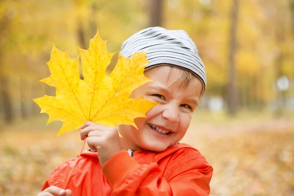 Boldog kisfiú jó játékot és lehullott arany levelek — Stock Fotó