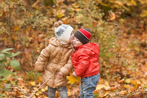 Niños caminando en el parque de otoño. el beso de la chica el hermanito en camino — Foto de Stock