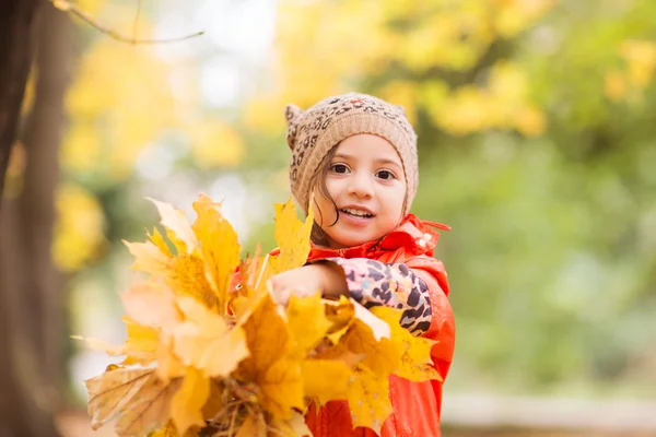 Küçük kız sonbahar parkta yürüyor. — Stok fotoğraf