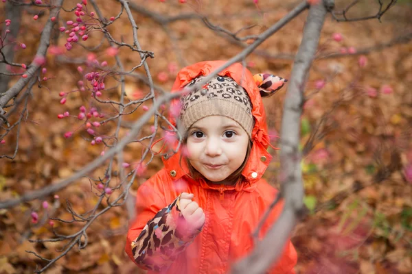 Küçük kız sonbahar parkta yürüyor. — Stok fotoğraf