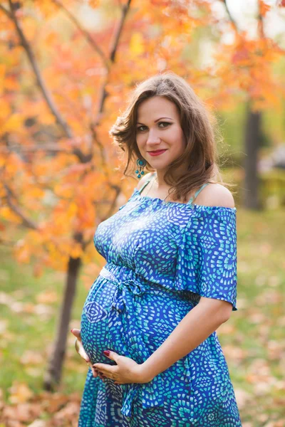 Jovem grávida no parque de outono — Fotografia de Stock