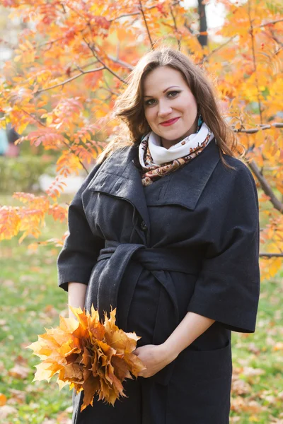 Schöne lächelnde Schwangere steht im Herbstpark — Stockfoto