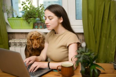 Genç bir kız evdeki bilgisayarın başında yazı yazıyor, sevgili köpeği de yanında duruyor. Öğrenci sınava hazırlanıyor.