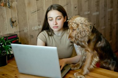 Genç bir kız evdeki bilgisayarın başında yazı yazıyor, sevgili köpeği de yanında duruyor. Öğrenci sınava hazırlanıyor.