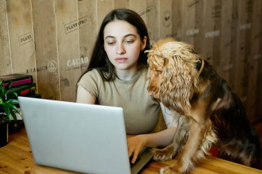 Genç bir kız evdeki bilgisayarın başında yazı yazıyor, sevgili köpeği de yanında duruyor. Öğrenci sınava hazırlanıyor.