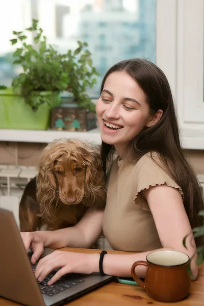 Uma Jovem Está Digitando Computador Escritório Casa Seu Cão Amado — Fotografia de Stock