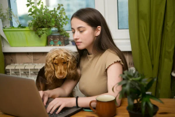 Mladá Dívka Píše Počítače Domácí Kanceláři Vedle Stojí Její Milovaný Royalty Free Stock Obrázky