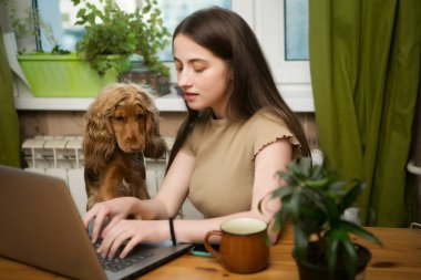 Genç ve güzel bir kız evdeki bilgisayarın başında yazı yazıyor, sevgili köpeği de yakınlarda duruyor. Bir öğrenci sınava hazırlanıyor..