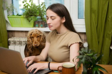 Genç ve güzel bir kız evdeki bilgisayarın başında yazı yazıyor, sevgili köpeği de yakınlarda duruyor. Bir öğrenci sınava hazırlanıyor..