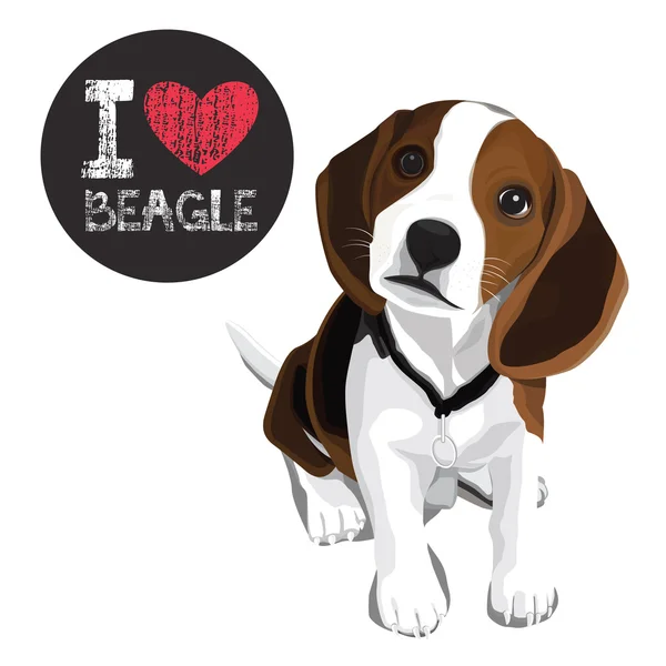 Me encanta Beagle. — Archivo Imágenes Vectoriales