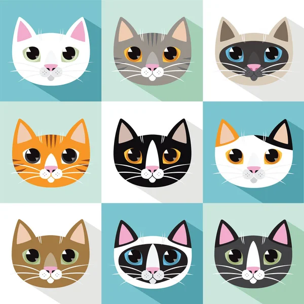 Vecteur de races de chats — Image vectorielle