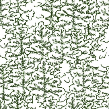 Karlı köknar-ağaç el çekilmiş