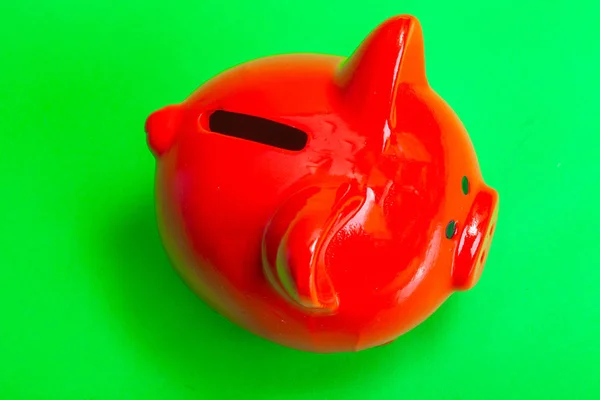 red pig piggy bank on a green background.