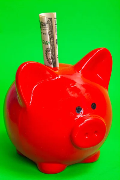 beautiful red pig piggy bank with money on a green background