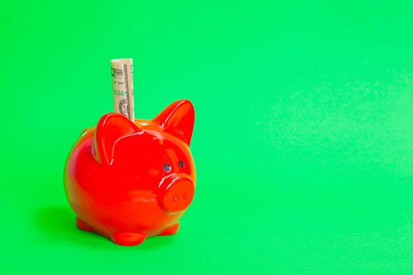 beautiful red pig piggy bank with money on a green background