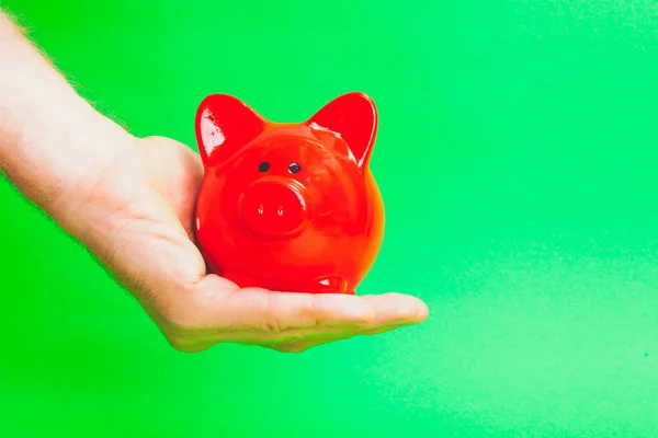 red pig piggy bank on a hand on a green background