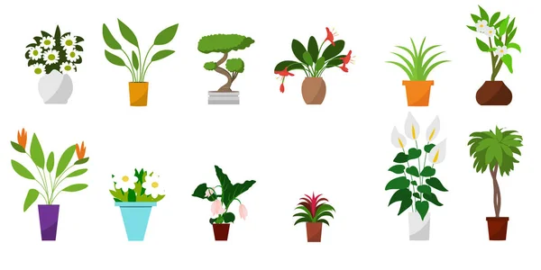 Casa de plantas y flores en macetas. Ilustración de vector de estilo plano. — Vector de stock
