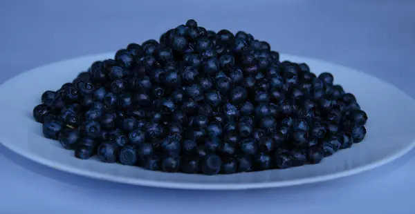 Woosnam Fresh Blueberries Plate Slide Light Background — Stock Photo, Image