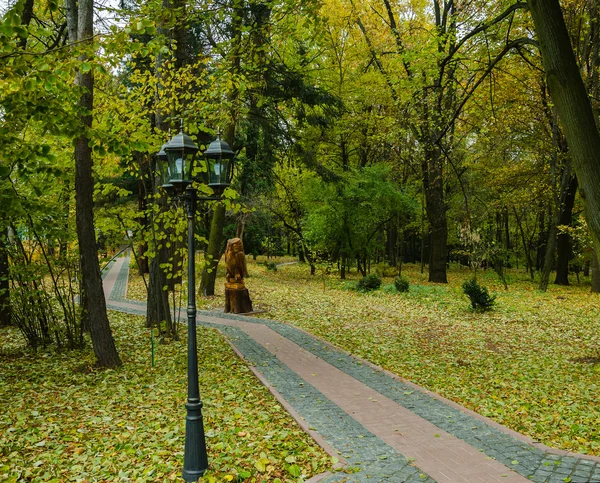 Prachtig park in de herfst dag — Stockfoto