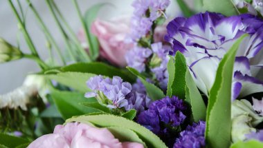 sıradışı güzellik çiçek eustomy