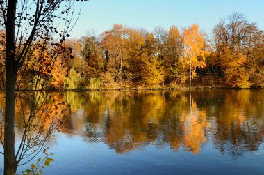 güzel bir park bir göl kıyısında güzel sahne - sarı, kırmızı, yeşil ağaçlar