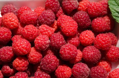 Beyaz arka plan portre üzerinde lezzetli kırmızı aromalı dut ahududu