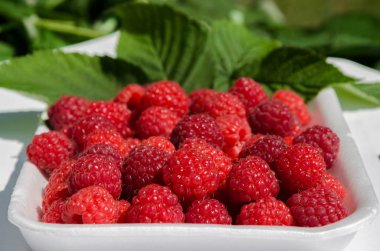 lezzetli kırmızı dut