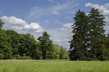 Güzel manzara manzara