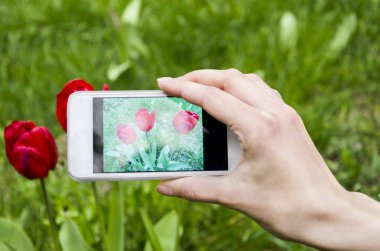 Gadget'ı ekranda çiçek açan Lale