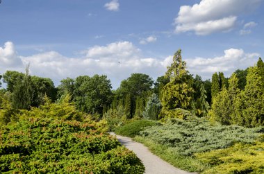 Yaz parkta yolundaki