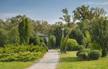 patika öğleden sonra parkta