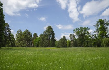 sıcak gün ölçekler peyzaj