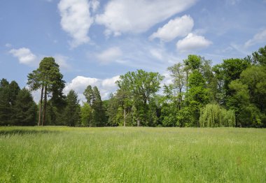 sıcak gün ölçekler peyzaj