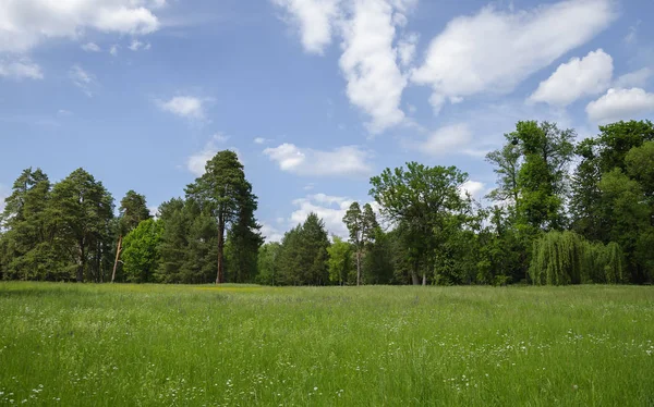 sıcak gün ölçekler peyzaj
