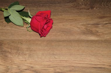 Kırmızı çiçek kokulu gül