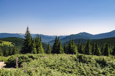 Dağların güzel manzarası
