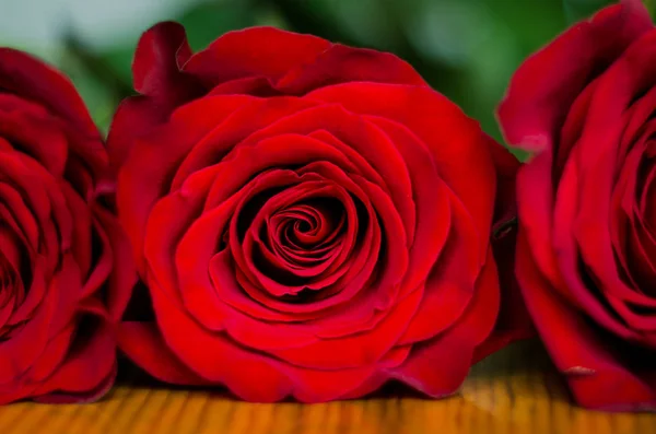 Krásná kytice s červenými vonnými růžemi květiny na dřevěném pozadí — Stock fotografie