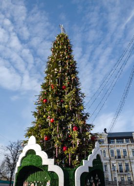 Sofievskaya Meydanı, Kiev, Ukrayna 'daki ana Noel ağacı., 