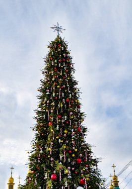 Sofievskaya Meydanı, Kiev, Ukrayna 'daki ana Noel ağacı., 