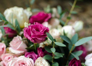 Parlak doğal çiçekleri olan güzel bir arka plan, mor östoma çiçeği., 