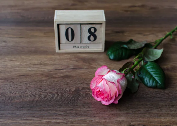 Rosa rosa flores naturales sobre fondo de madera, regalo para las vacaciones del 8 de marzo — Foto de Stock