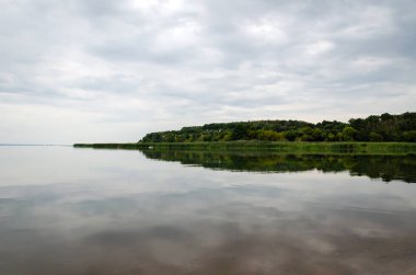 Yeşil ağaçların sularındaki yansıma