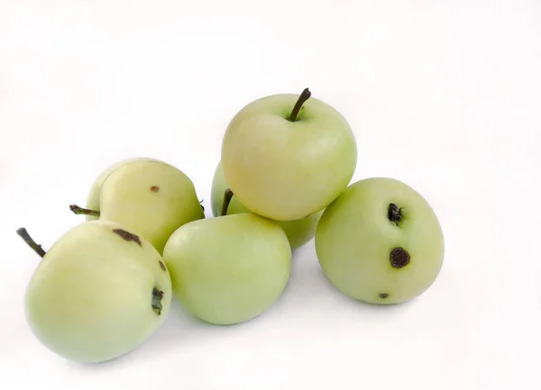 Fruit of apple tree, yellow, isolated on white background — Stock Photo, Image