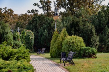 Ukrayna, Kiev 'de sıcak bir günde ağaçların arasında yaya yolu