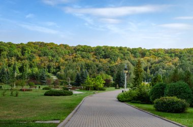 Ukrayna, Kiev 'de sıcak bir günde ağaçların arasında yaya yolu
